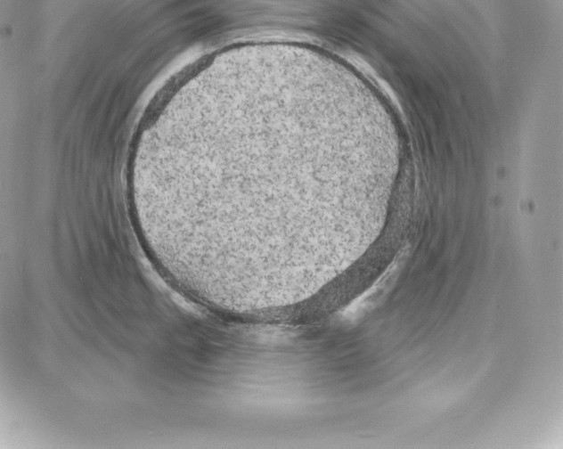 X0000087681189200706011646