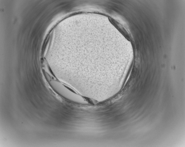 X0000087681191200706011646