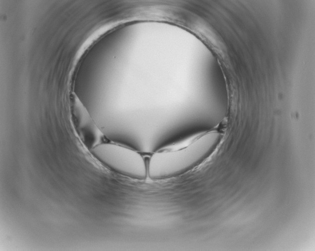 X0000087681192200706011646