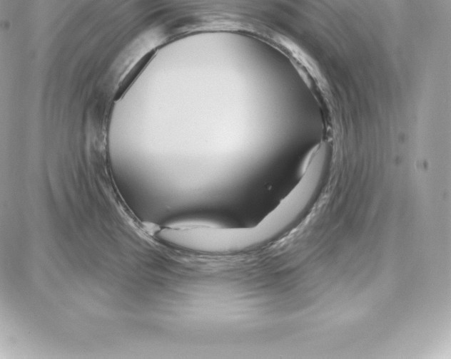 X0000087681193200706011646