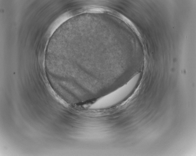 X0000087681194200706011646