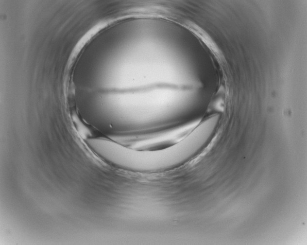 X0000087681196200706011646