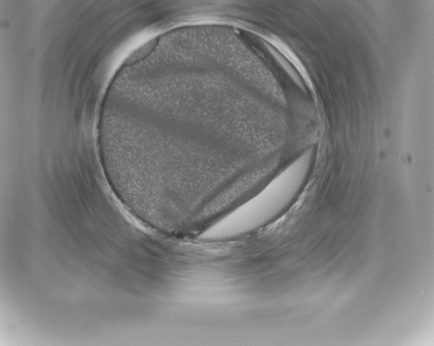 X0000087681197200706011646