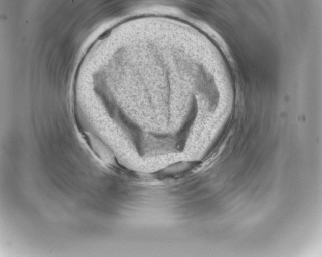 X0000087681199200706011646