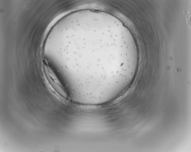 X0000087681200200706011646