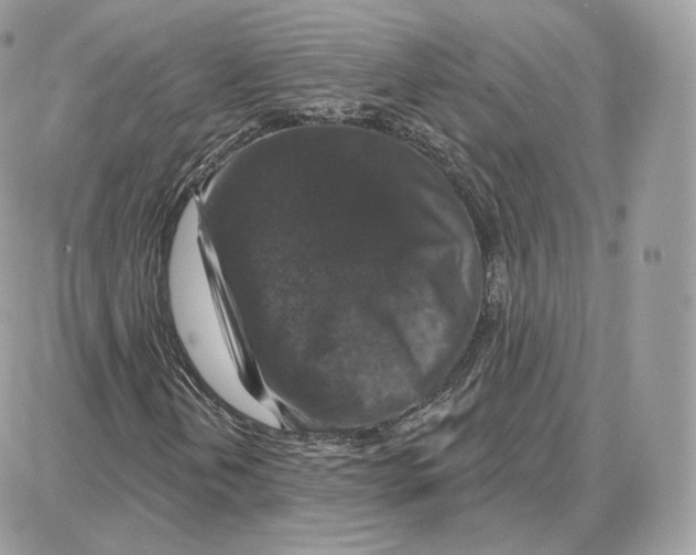 X0000087681202200706011645