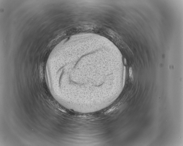 X0000087681203200706011645