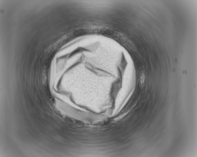 X0000087681204200706011645