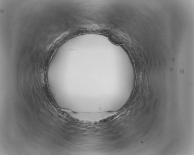 X0000087681205200706011645