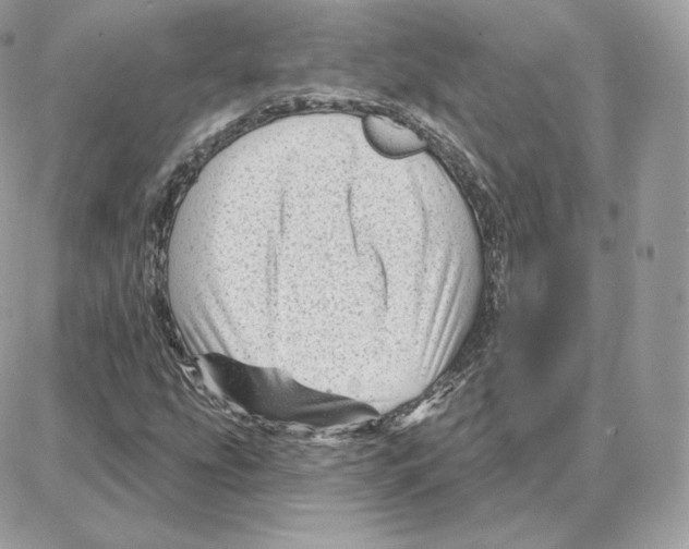 X0000087681207200706011645