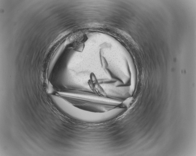 X0000087681209200706011645