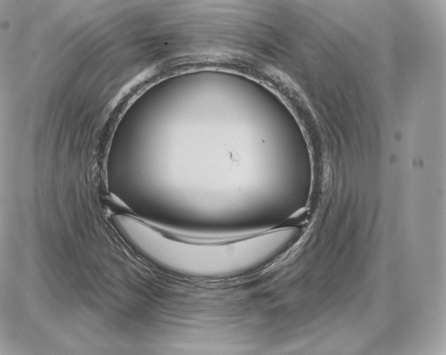 X0000087681210200706011646