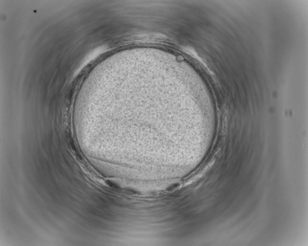 X0000087681211200706011646