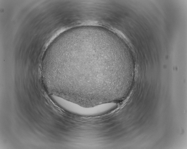 X0000087681212200706011646