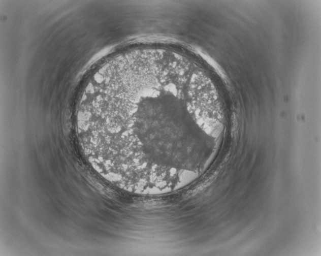 X0000087681213200706011646