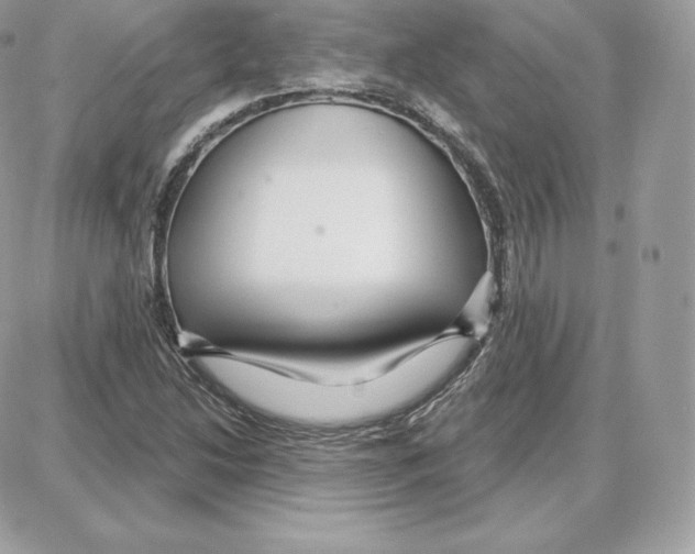 X0000087681214200706011646