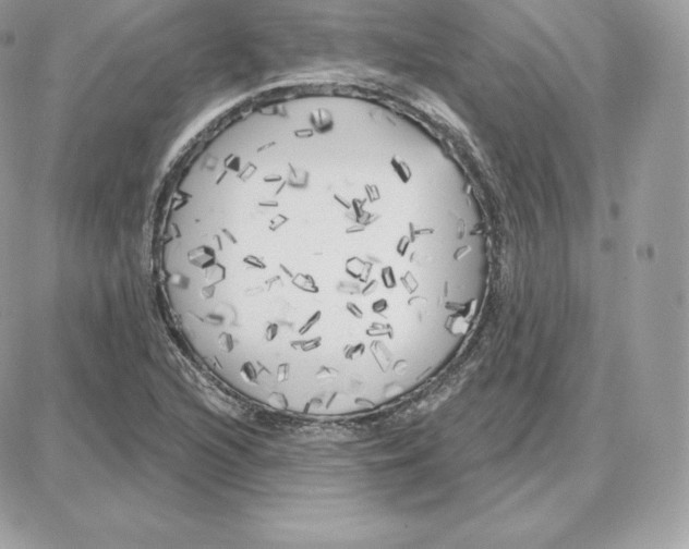 X0000087681216200706011646