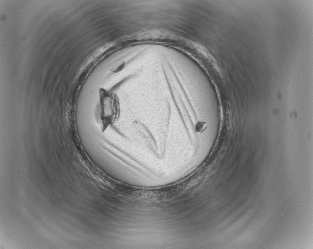 X0000087681217200706011646