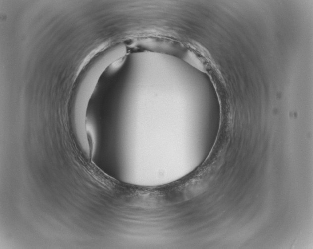 X0000087681218200706011646