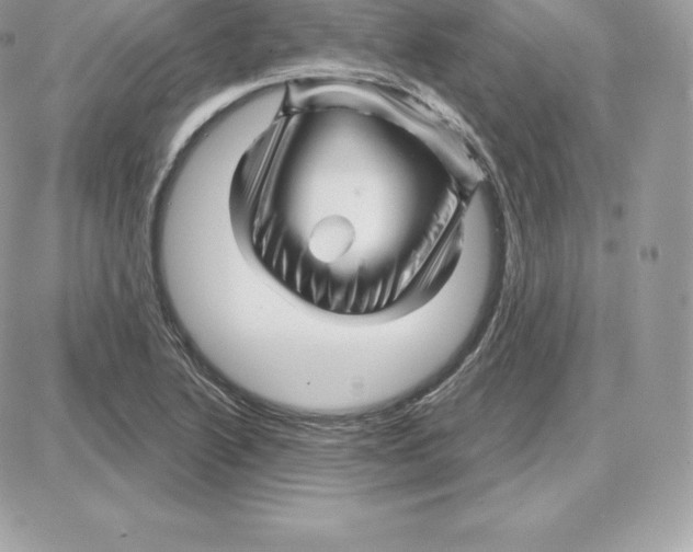 X0000087681222200706011646