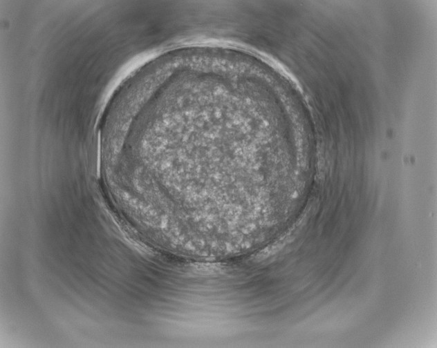 X0000087681223200706011646