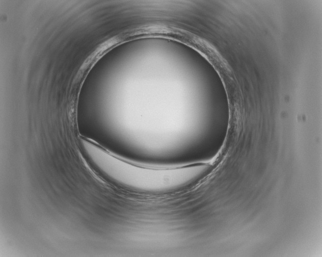 X0000087681225200706011646