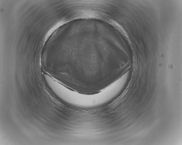 X0000087681226200706011646