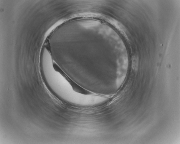 X0000087681229200706011646