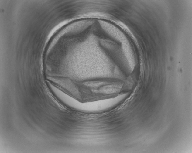 X0000087681230200706011646