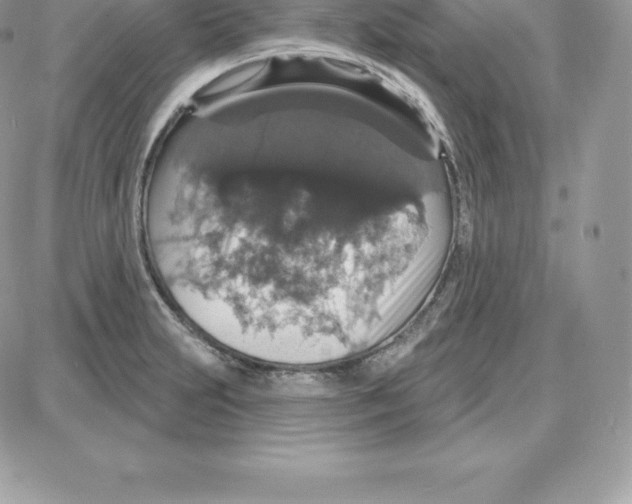 X0000087681231200706011646