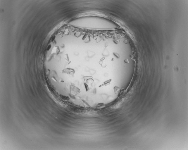 X0000087681233200706011646