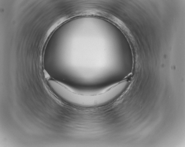 X0000087681234200706011646