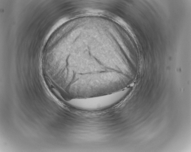 X0000087681235200706011646