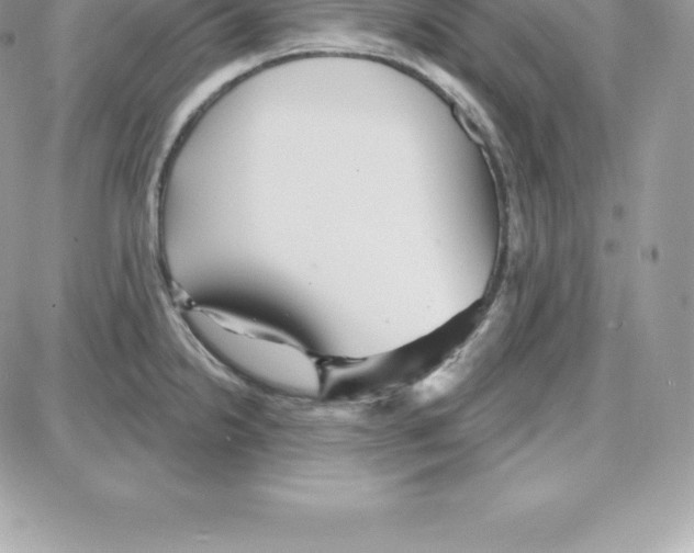 X0000087681238200706011646