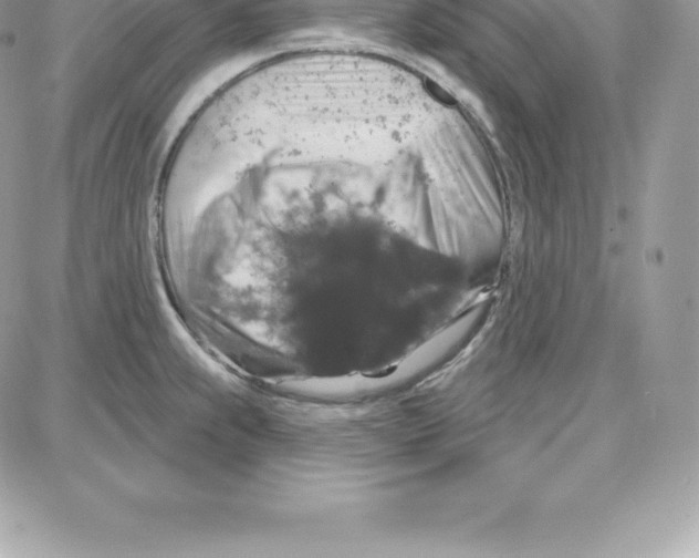 X0000087681239200706011646