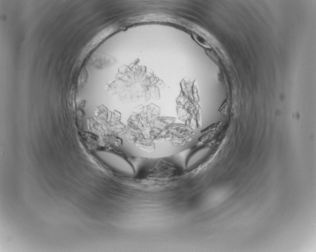 X0000087681241200706011646