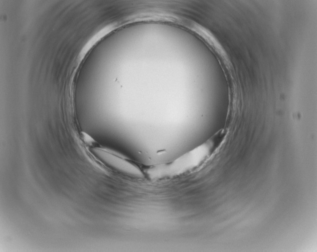 X0000087681242200706011646