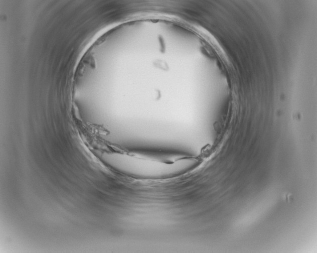 X0000087681244200706011646