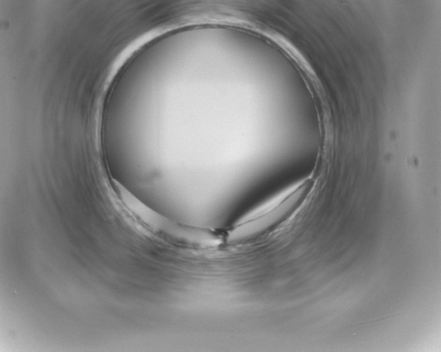 X0000087681246200706011646