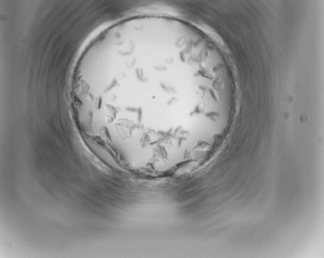 X0000087681248200706011646