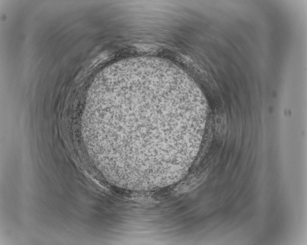 X0000087681249200706011645