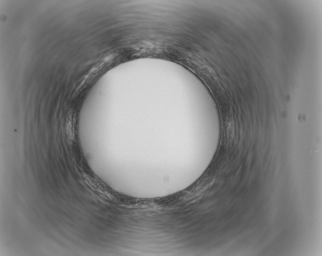 X0000087681250200706011645