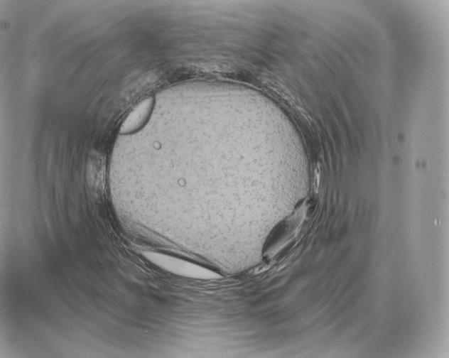 X0000087681251200706011645