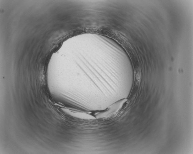 X0000087681252200706011645