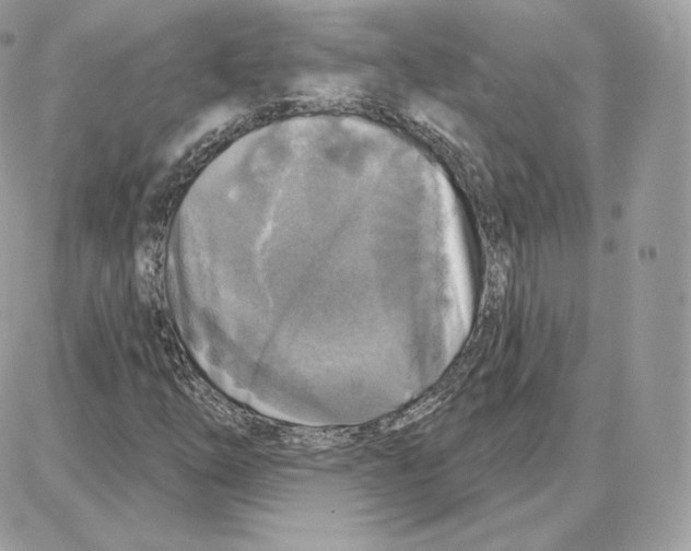 X0000087681254200706011645