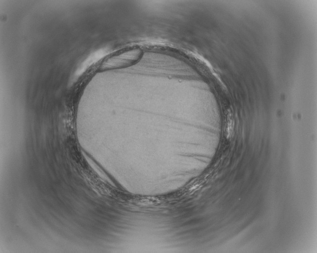 X0000087681255200706011645