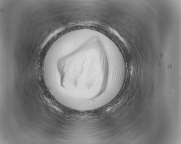 X0000087681256200706011645