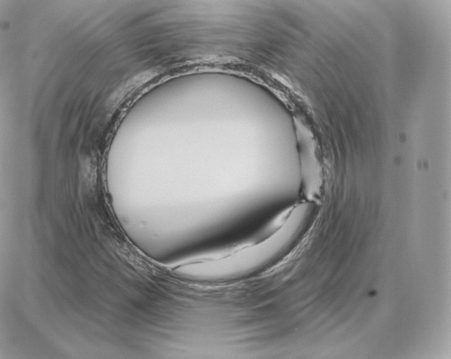 X0000087681257200706011645