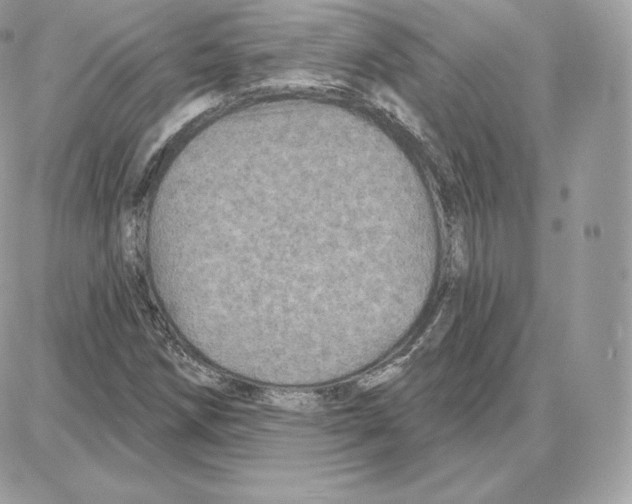 X0000087681258200706011645