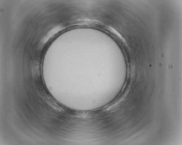 X0000087681259200706011645